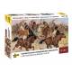 Carthagenian numidian cavalery