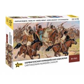 Carthagenian numidian cavalery