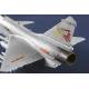 Chinese J-10C Fighter