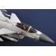 Chinese J-10C Fighter