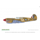 P-40E Warhawk ProfiPACK edition