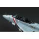 Boeing F/A-18F Super Hornet Bounty Hunters