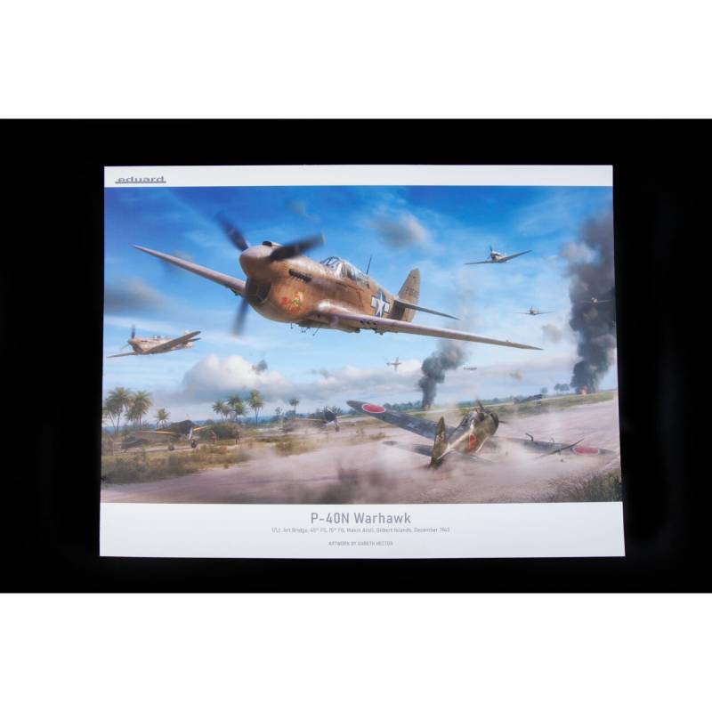 Maquette Avion P-40n Warhawk Royal Class Dual Combo |eduard|r0025| 1:48 Maquette - Imagen 13 de 24