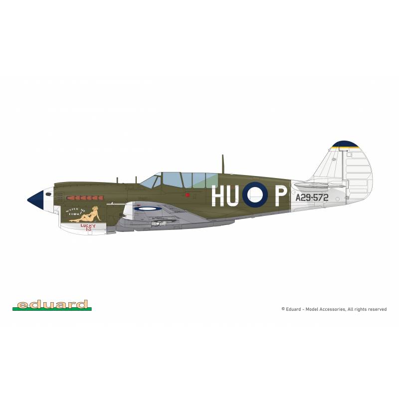 Maquette Avion P-40n Warhawk Royal Class Dual Combo |eduard|r0025| 1:48 Maquette - Imagen 19 de 24