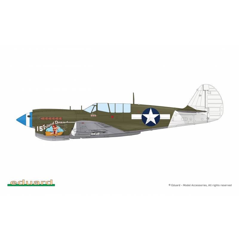 Maquette Avion P-40n Warhawk Royal Class Dual Combo |eduard|r0025| 1:48 Maquette - Imagen 21 de 24
