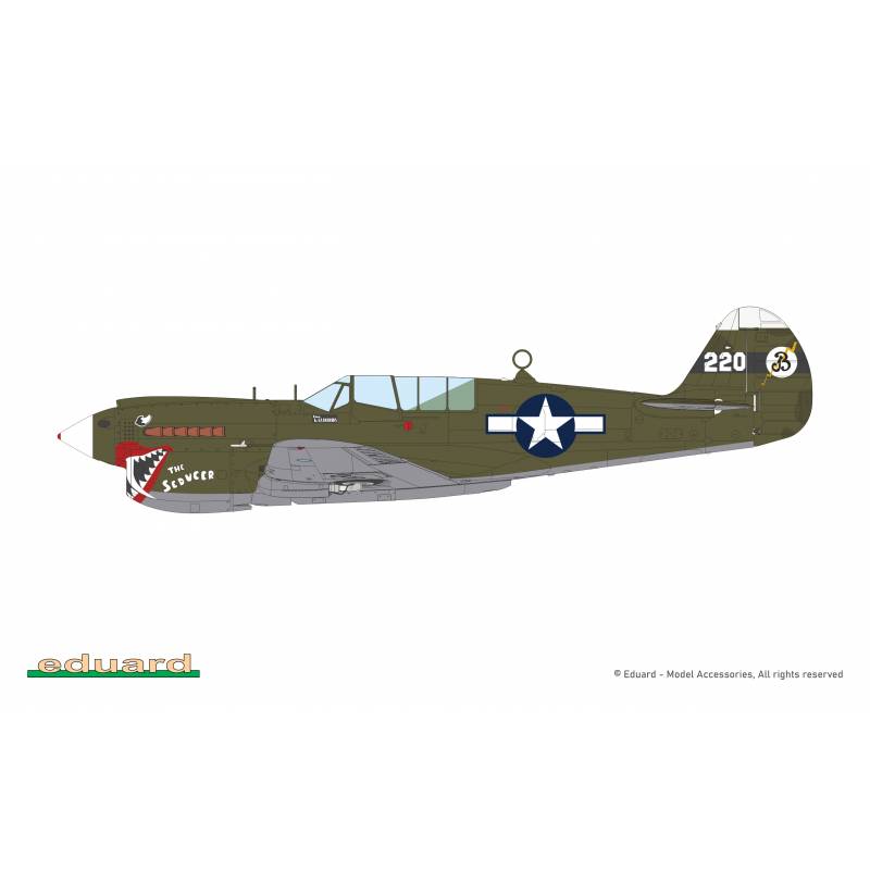 Maquette Avion P-40n Warhawk Royal Class Dual Combo |eduard|r0025| 1:48 Maquette - Imagen 24 de 24
