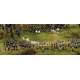 Battle Set Austerlitz 1805 Fighting for Sokolnitz