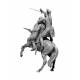Indian Wars Series. Ambush Attack