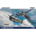 P-40E Warhawk Weekend Edition
