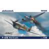 P-40E Warhawk Weekend Edition