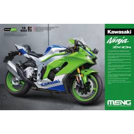 Kawasaki Ninja ZX-10R