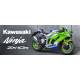 Kawasaki Ninja ZX-10R