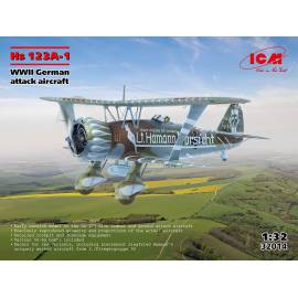 Hs 123A-1 WWII German attack aircraft