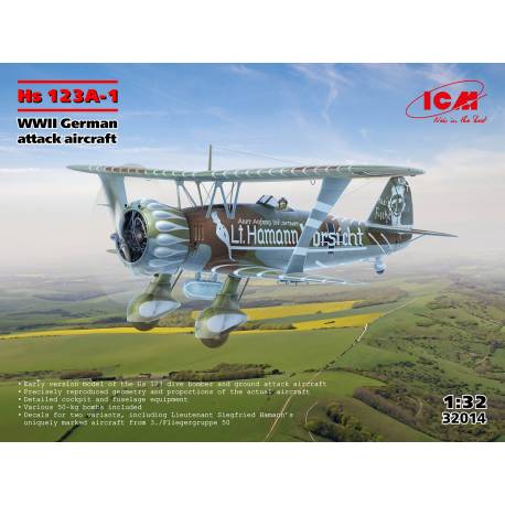 Hs 123A-1 WWII German attack aircraft