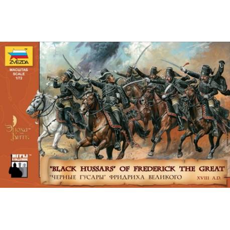 Black Hussars of Frederick the Great XVIII century AD