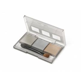 TAMIYA WEATHERING MASTER F