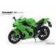 Kawasaki Ninja ZX-10RR Pre-Coloured Edition