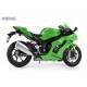 Kawasaki Ninja ZX-10RR Pre-Coloured Edition