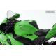 Kawasaki Ninja ZX-10RR Pre-Coloured Edition