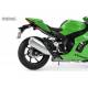 Kawasaki Ninja ZX-10RR Pre-Coloured Edition