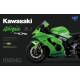 Kawasaki Ninja ZX-10RR Pre-Coloured Edition