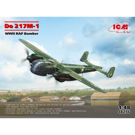 Do 217M-1 WWII RAF Bomber