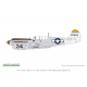 P-40N Warhawk Weekend edition