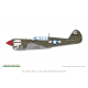 P-40N Warhawk Weekend edition
