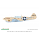 P-40N Warhawk Weekend edition
