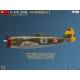 P-47D-22RE THUNDERBOLT FRENCH SERVICE BASIC KIT