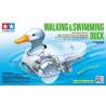 Walking & Swimming Duck