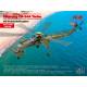 Sikorsky CH-54A Tarhe  US Heavy Helicopter