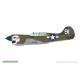 P-40K Warhawk DUAL COMBO Royal Class