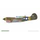 P-40K Warhawk DUAL COMBO Royal Class