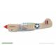 P-40K Warhawk DUAL COMBO Royal Class