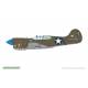 P-40K Warhawk DUAL COMBO Royal Class
