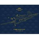 P-40K Warhawk DUAL COMBO Royal Class