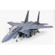 Boeing F-15E Strike Eagle W/BUNKER BUSTER  