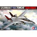 Grumman F-14A Tomcat "Black Knights"