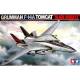 Grumman F-14A Tomcat "Black Knights"  