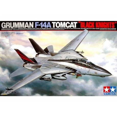 Grumman F-14A Tomcat "Black Knights"  