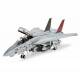 Grumman F-14A Tomcat "Black Knights"  