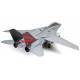 Grumman F-14A Tomcat "Black Knights"  