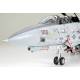Grumman F-14A Tomcat "Black Knights"  
