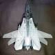 Grumman F-14A Tomcat "Black Knights"  
