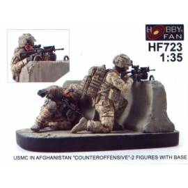 USMC in Afghanistan -Counteroffensive- 