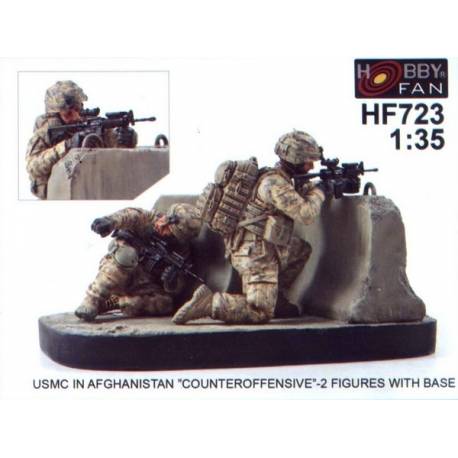 USMC in Afghanistan -Counteroffensive- 