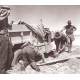 LRDG in North Africa WWII  