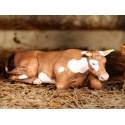 vache à l'étable