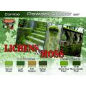 PIGMENT & COLOUR SET LICHENS / MOSS